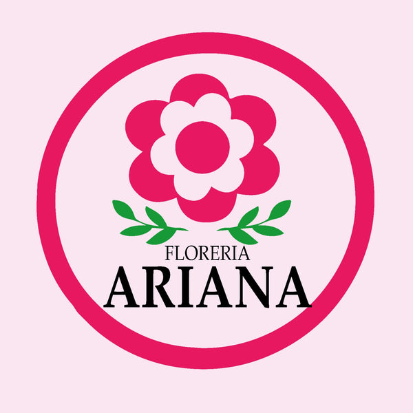ARIANA FLORERIA 